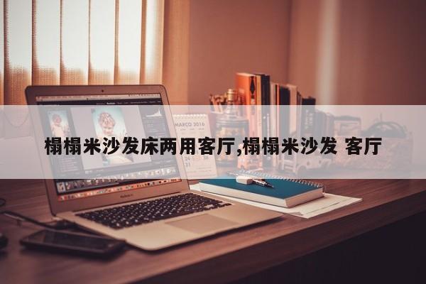 榻榻米沙发床两用客厅,榻榻米沙发 客厅