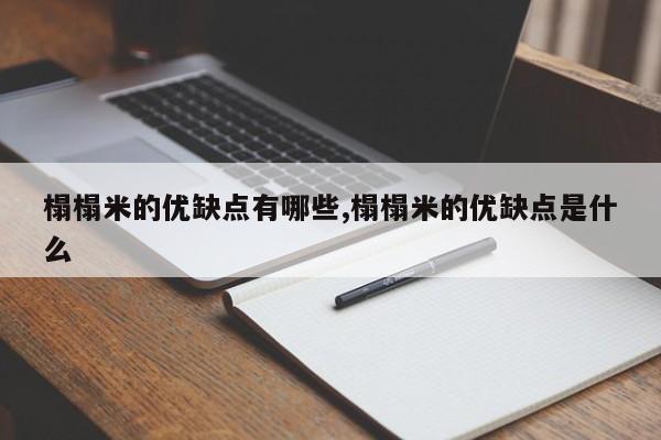 榻榻米的优缺点有哪些,榻榻米的优缺点是什么