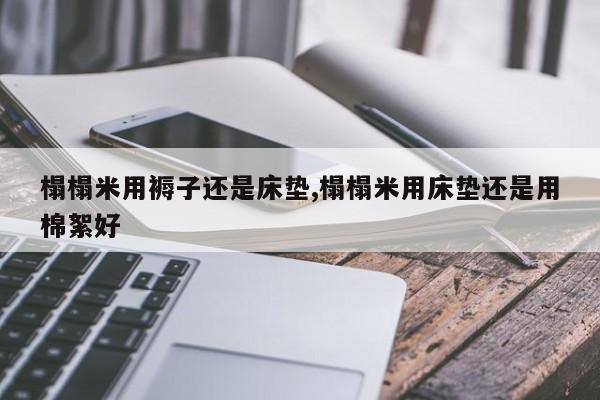 榻榻米用褥子还是床垫,榻榻米用床垫还是用棉絮好